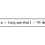 05-11-2009 - daniela - tony_marshall - TM Weih_Banner hoch.jpg
